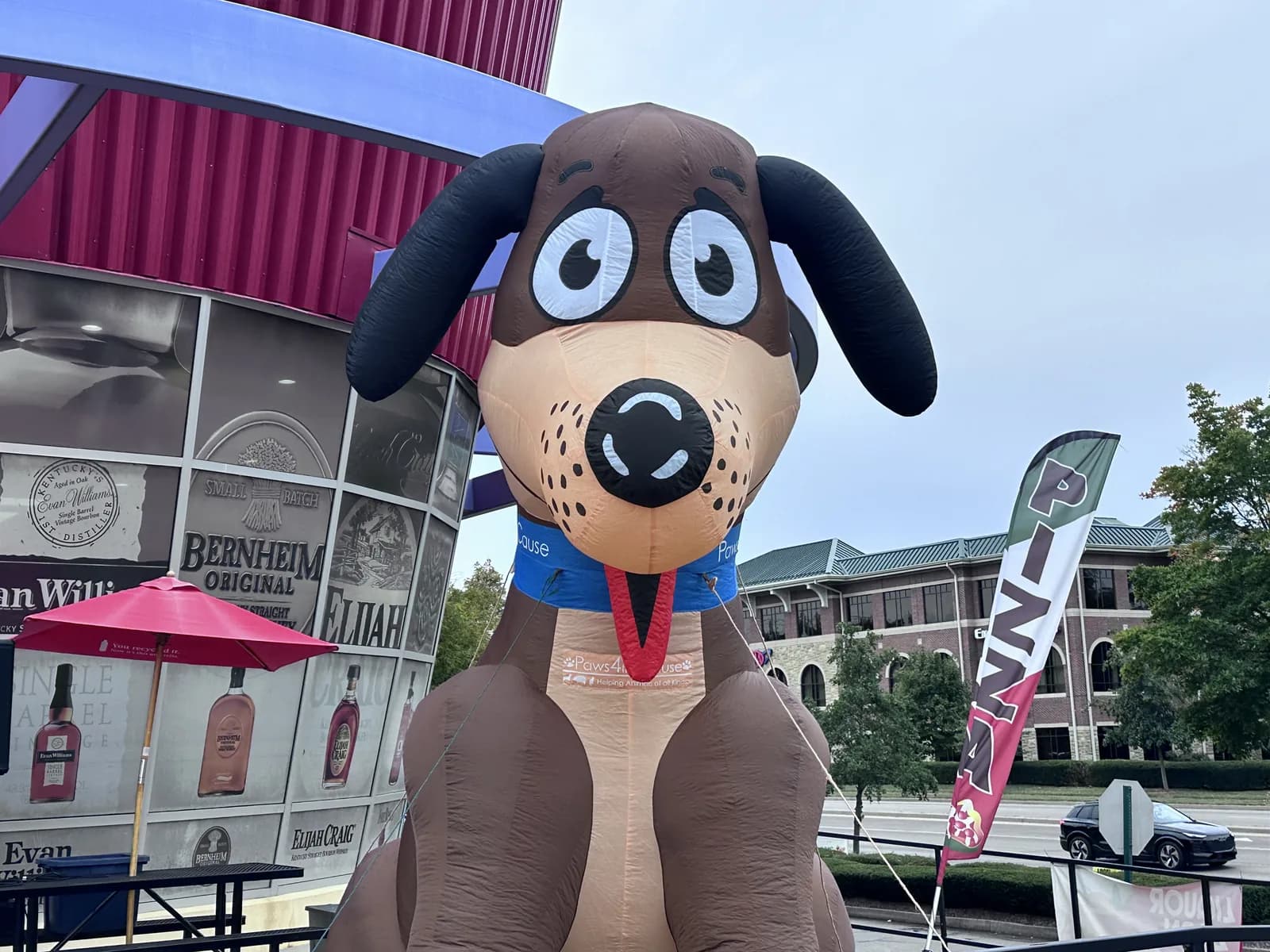A giant inflatable Paws 4 the Cause dog outside Liquor Barn at Barktoberfest in Hamburg