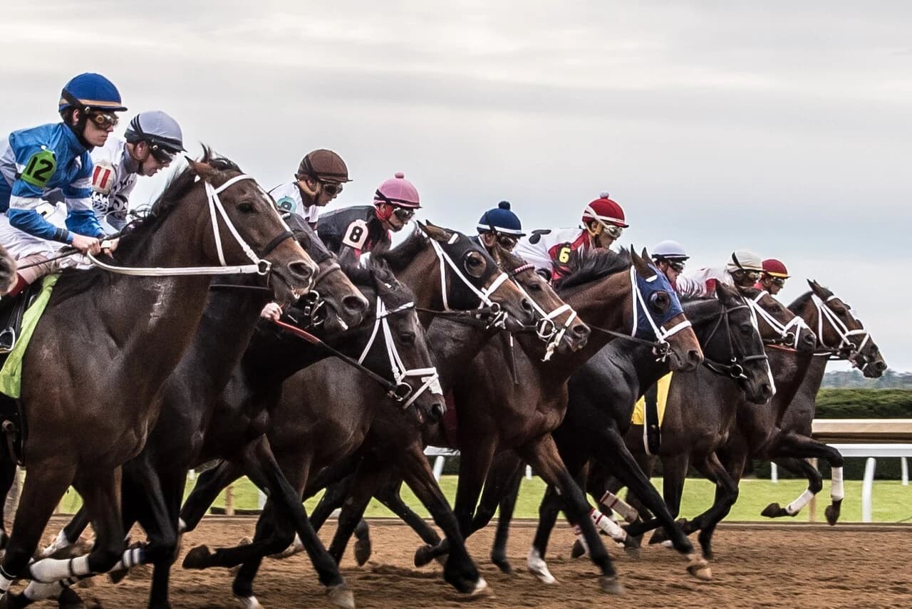 Horses racing at Keeneland for the Breeders' Cup